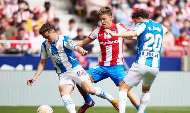 步发展的形 步发展的形