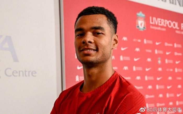 球率仅17 球率仅17